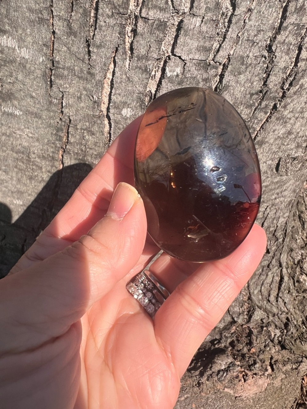 Smoky (5) quartz PalmStone | crystal